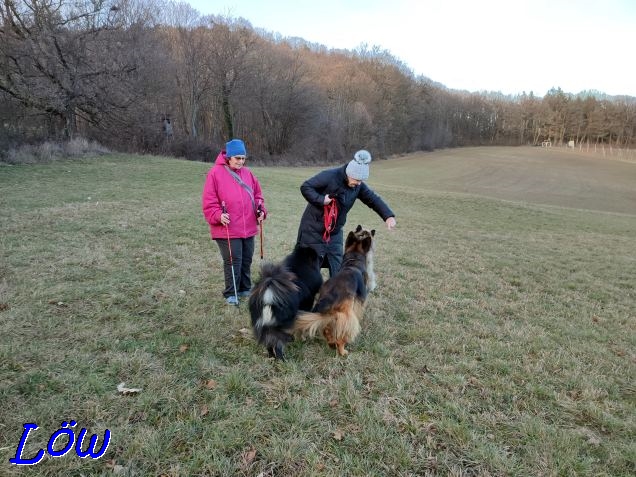 14.1.2023 - Gruppentraining auf der Kuhheide